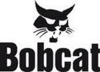 182569162_aktuator-bobcat-863
