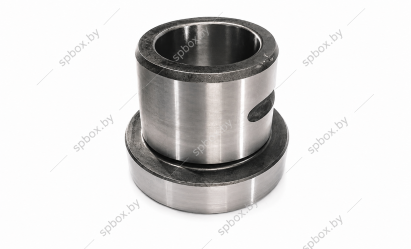3ac56851-04cc-4cd6-bf78-64f4181c3266